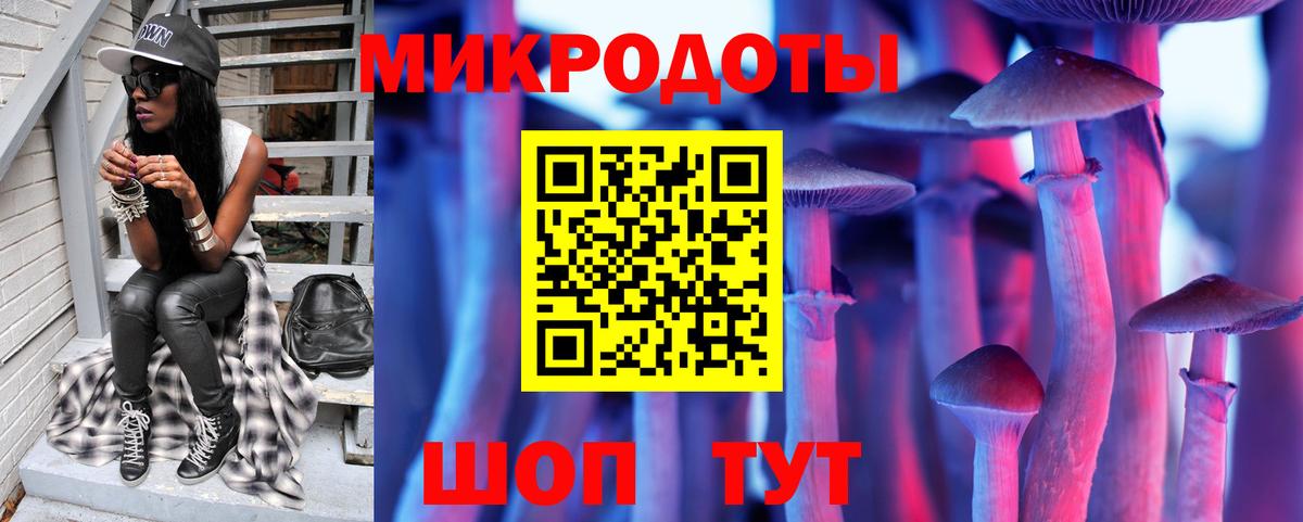 Псилоцибиновые грибы Psilocybine cubensis Кызыл