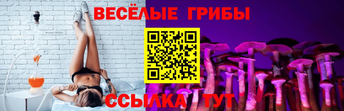 Псилоцибиновые грибы GOLDEN TEACHER  Вход с VPN  Кызыл 